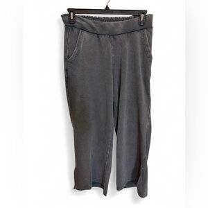 Daily Practice by Anthropologie Charcoal Gray Wide Leg Pull-On Sweats Small